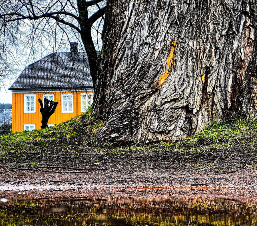 Drammens Museum (1)